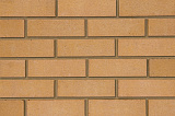   Severn Buff   Qbricks IBSTOCK